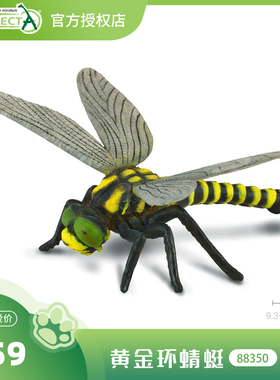 【88350黄金环蜻蜓】CollectA官方授权正版动物模型早教