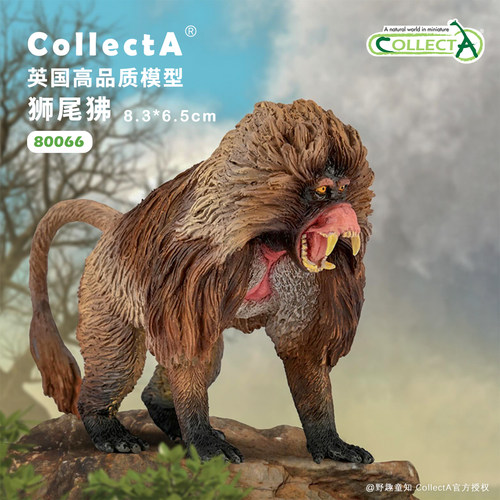 【顺丰包邮】80066狮尾狒 COLLECTA我你他英国仿真动物模型玩具