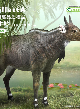 【88764蓝牛羚】CollectA正版动物模型早教玩具儿童早教认知宝妈