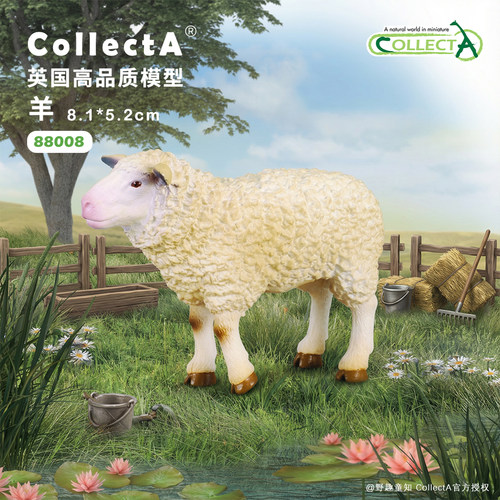 【羊/小羊】CollectA官方授权正版动物模型早教玩具