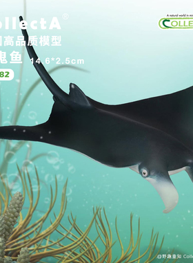 【88040魔鬼鱼】CollectA官方授权正版动物模型早教玩具