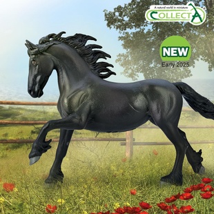 【80032弗里斯母马】2025CollectA仿真动物模型玩具马玩具摆件