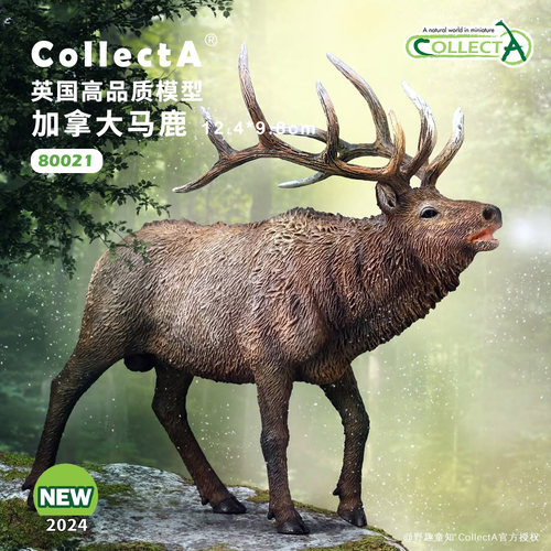 【80021加拿大马鹿】CollectA官方授权正版动物模型早教玩具