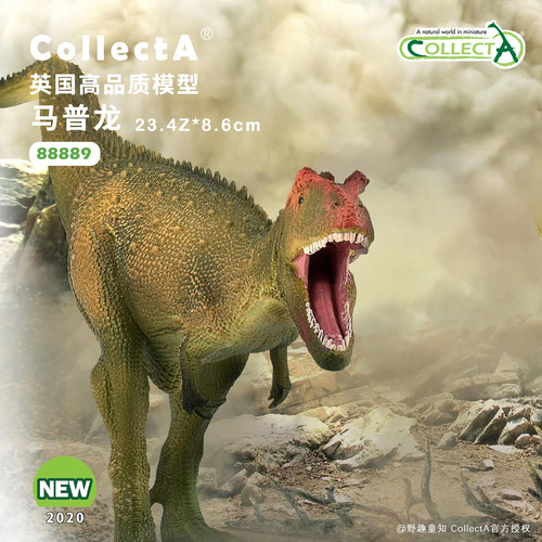 CollectA马普龙动物模型玩具