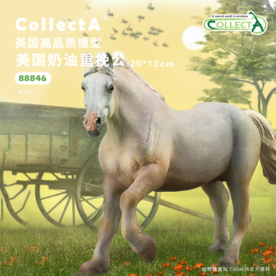 【88846美国奶油重挽公马】英国CollectA我你他仿真动物模型玩具