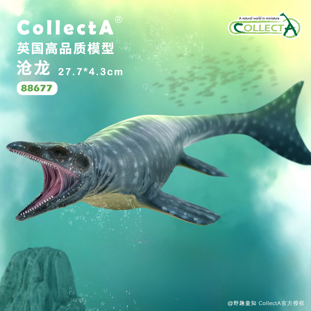 【88677沧龙】CollectA官方授权正版动物模型早教玩具史前恐龙图片