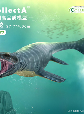 【88677沧龙】CollectA官方授权正版动物模型早教玩具史前恐龙