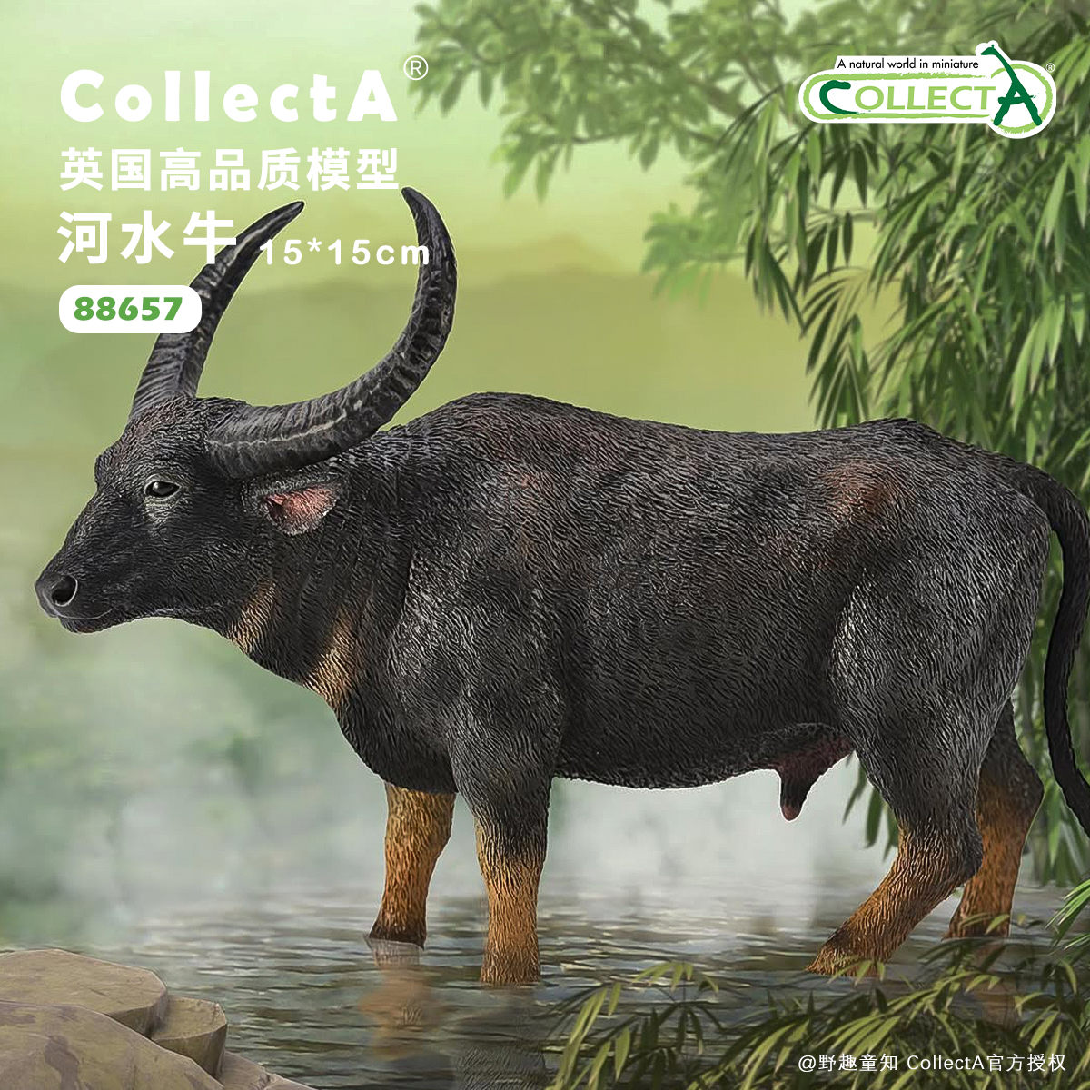 CollectA河水牛动物模型玩具