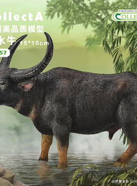 【88657河水牛】CollectA官方授权正版动物模型早教玩具