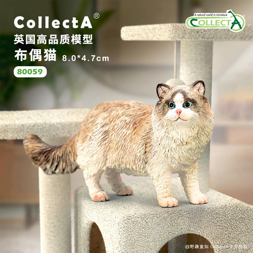 【顺丰包邮】布偶猫COLLECTA英国我你他猫咪农场模型玩具2026