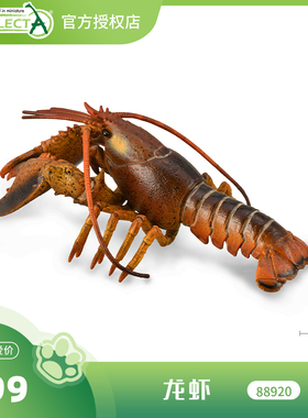 【88920龙虾】CollectA官方授权正版动物模型早教玩具