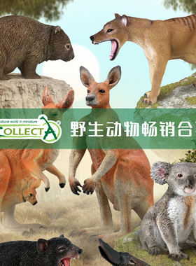 【顺丰包邮】英国CollectA仿真动物模型玩具狐獴狐狸刺猬考拉
