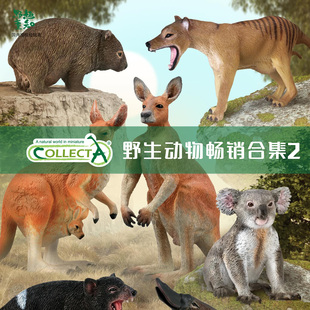 【顺丰包邮】英国CollectA仿真动物模型玩具狐獴狐狸刺猬考拉