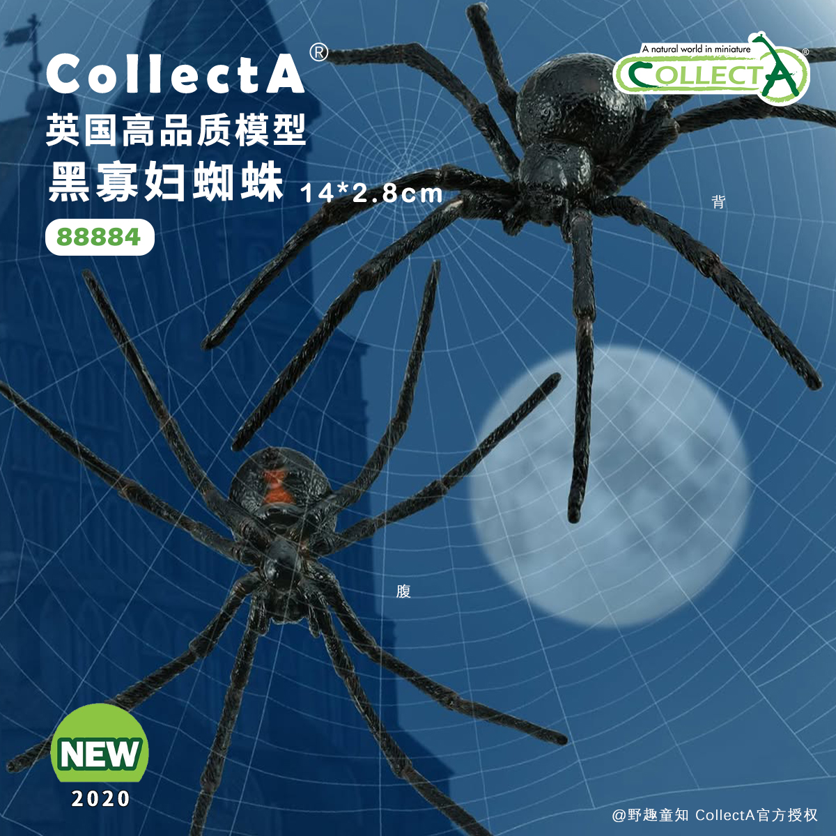 【88884黑寡妇蜘蛛】CollectA我你他官方授权正版动物模型早教