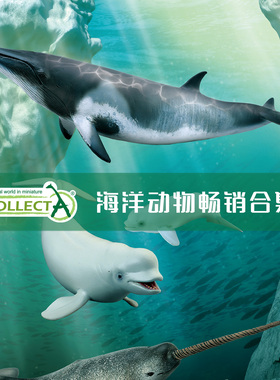 【顺丰包邮】英国CollectA高仿真模型仿真海洋动物鲸鱼鲨鱼虾蟹