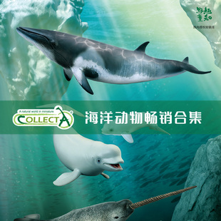 【顺丰包邮】英国CollectA高仿真模型仿真海洋动物鲸鱼鲨鱼虾蟹
