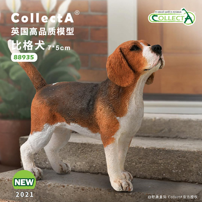 CollectA毕格犬动物模型玩具