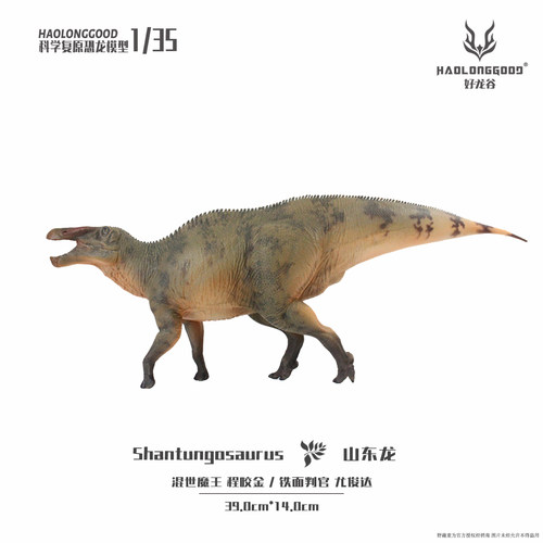 好龙谷【135山东龙】模型