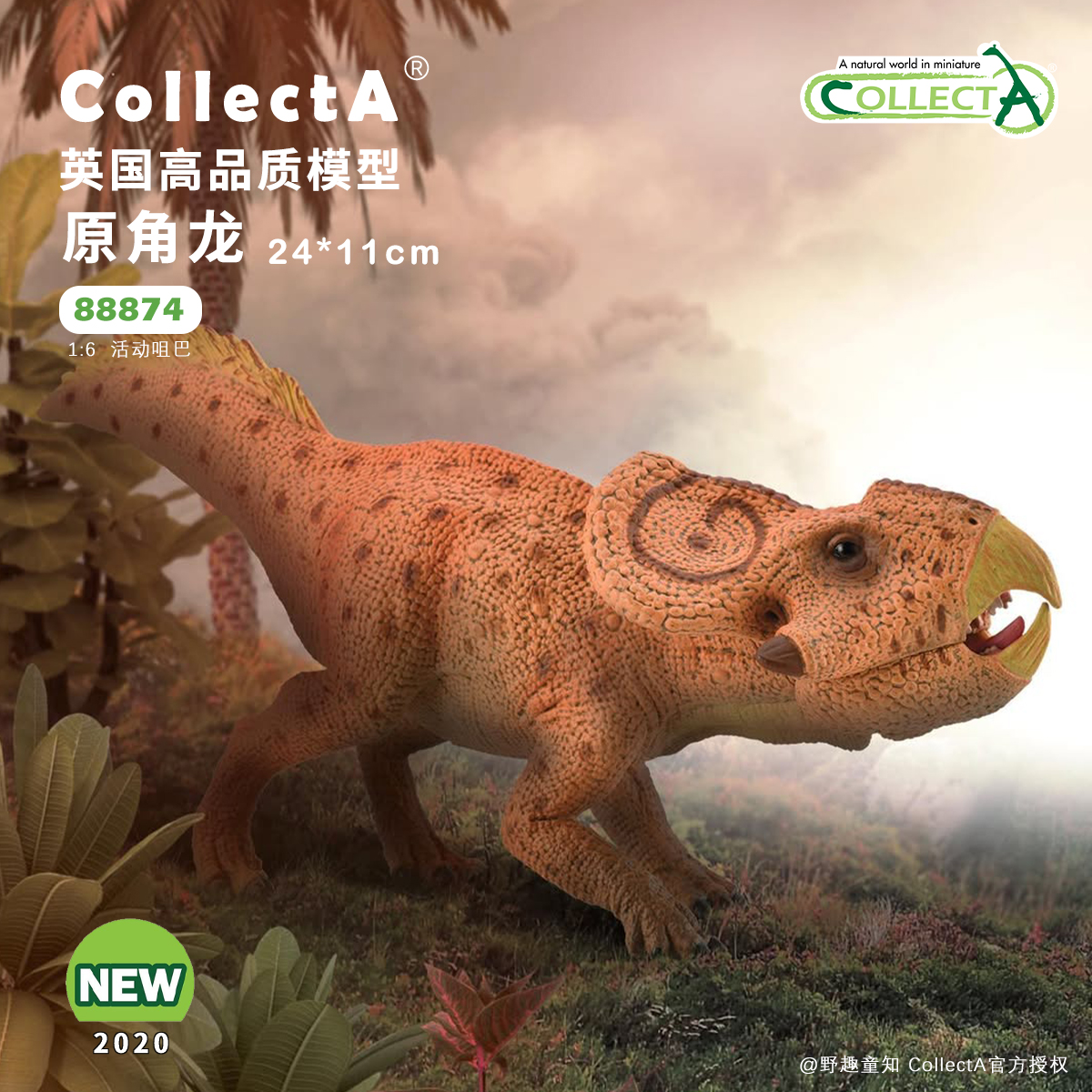 CollectA原角龙动物模型玩具