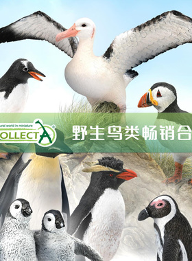 【顺丰包邮】英国CollectA仿真动物模型玩具孔雀天鹅【鸟类企鹅】