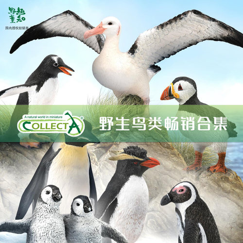 鸟类企鹅仿真儿童玩具CollectA