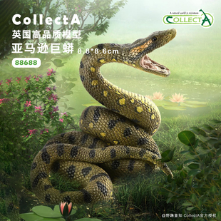 【88688亚马逊巨蟒】CollectA官方授权正版动物模型早教玩具