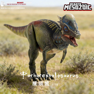 【顺丰包邮】中生代野兽【肿头龙1/18】可动恐龙玩具手办侏罗纪