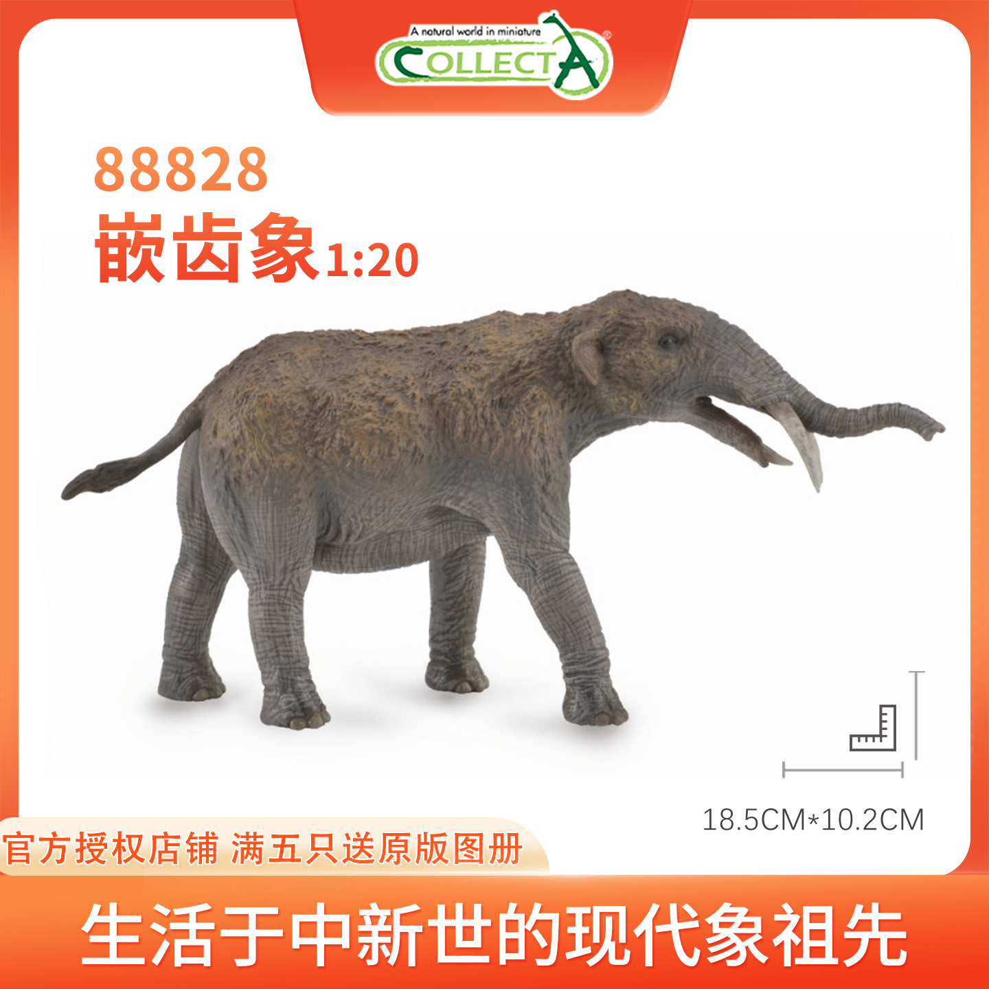 【88828 嵌齿象】CollectA仿真动物模型玩具古兽公仔科普收藏