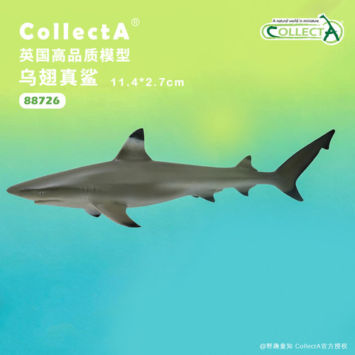 CollectA乌翅真鲨黑鳍鲨动物模型