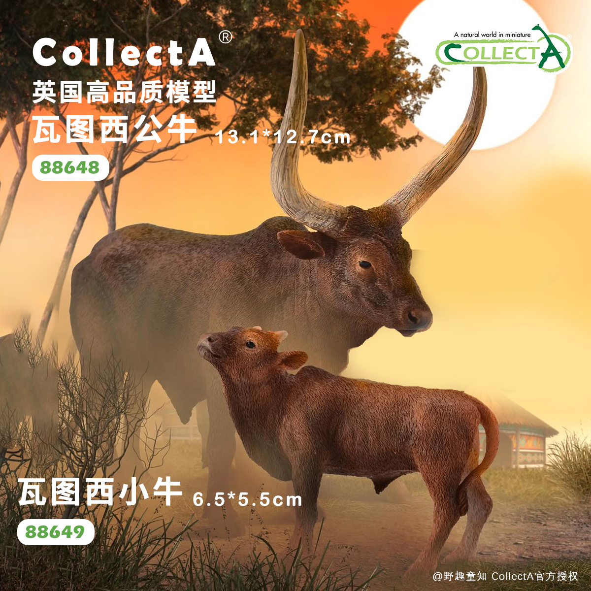 【88648瓦图西公牛】CollectA官方授权正版动物模型早教玩具