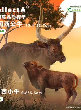 【88648瓦图西公牛】CollectA官方授权正版动物模型早教玩具