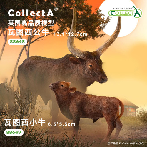 【88648瓦图西公牛】CollectA官方授权正版动物模型早教玩具
