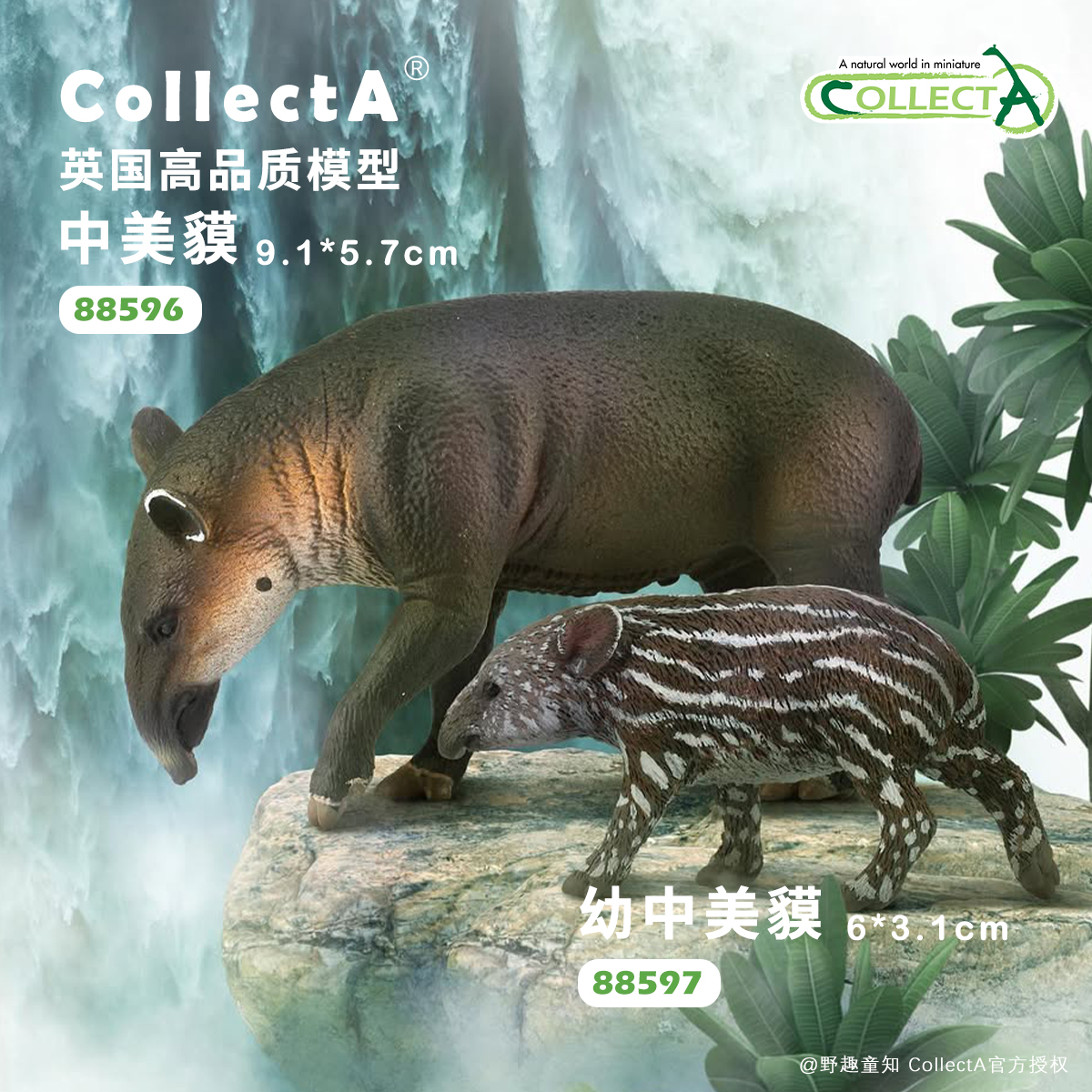 顺丰包邮【88596中美貘】CollectA官方授权正版动物模型早教玩具