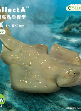 【88999扁鲨】CollectA官方授权正版动物模型早教玩具