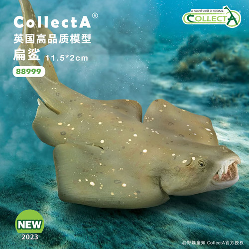 CollectA扁鲨动物模型玩具