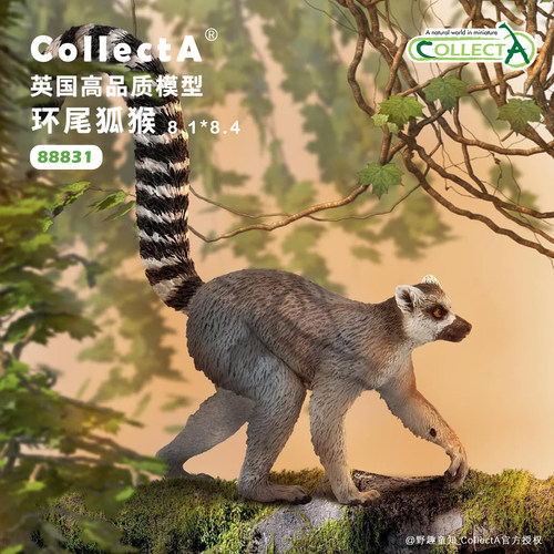 CollectA环尾狐猴动物模型