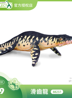 【88237滑齿龙】CollectA仿真动物模型玩具古兽公仔科普收藏海爬