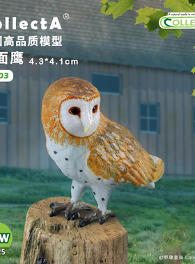 【88003猴面鹰/仓鸮】CollectA官方授权正版动物模型早教玩具