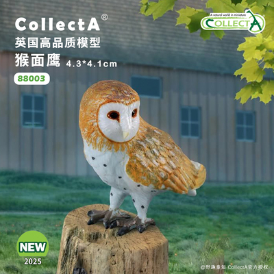 CollectA猴面鹰/仓鸮动物模型