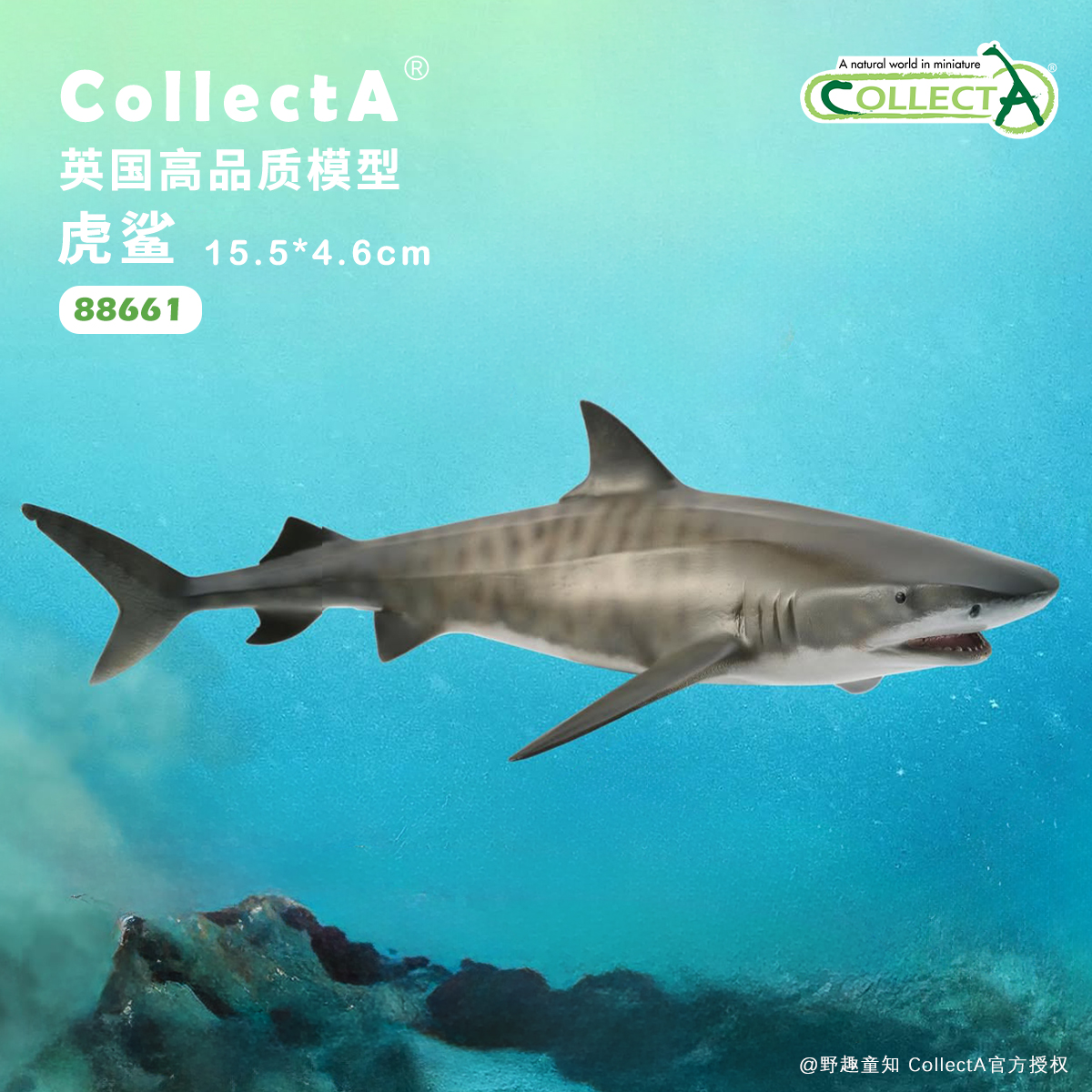 CollectA虎鲨动物模型玩具