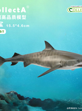 【88661虎鲨】CollectA官方授权正版动物模型早教玩具海洋鲨鱼
