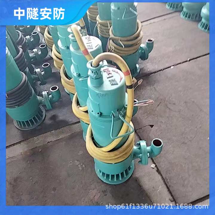 矿用隔爆型潜水排沙电泵 矿用防爆污水泵  BQS100-30-18.5kw