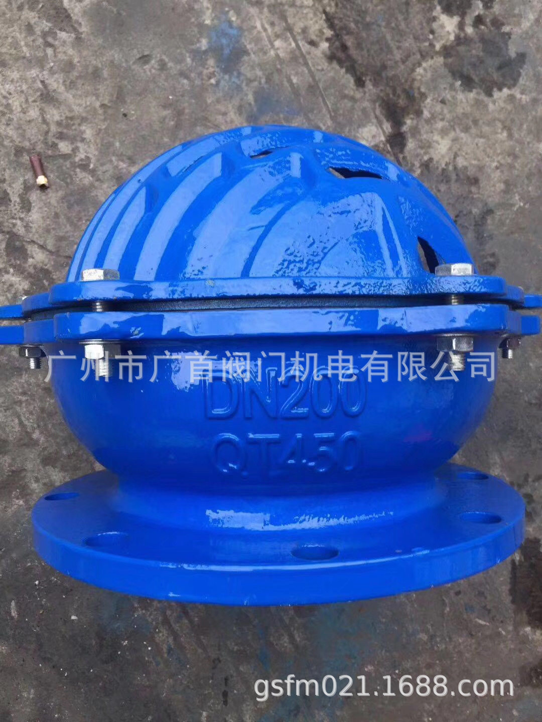 铸铁底阀H42X-6法兰式消声底阀 水泵抽水阀 铸铁花篮式底阀DN80