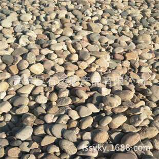 水处理鹅卵石铺路人工河垫层鹅卵石滤料鹅卵石地暖豆石大量供应