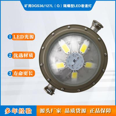 DGS36/127L(Q)上海华荣煤矿用隔爆型LED巷道灯