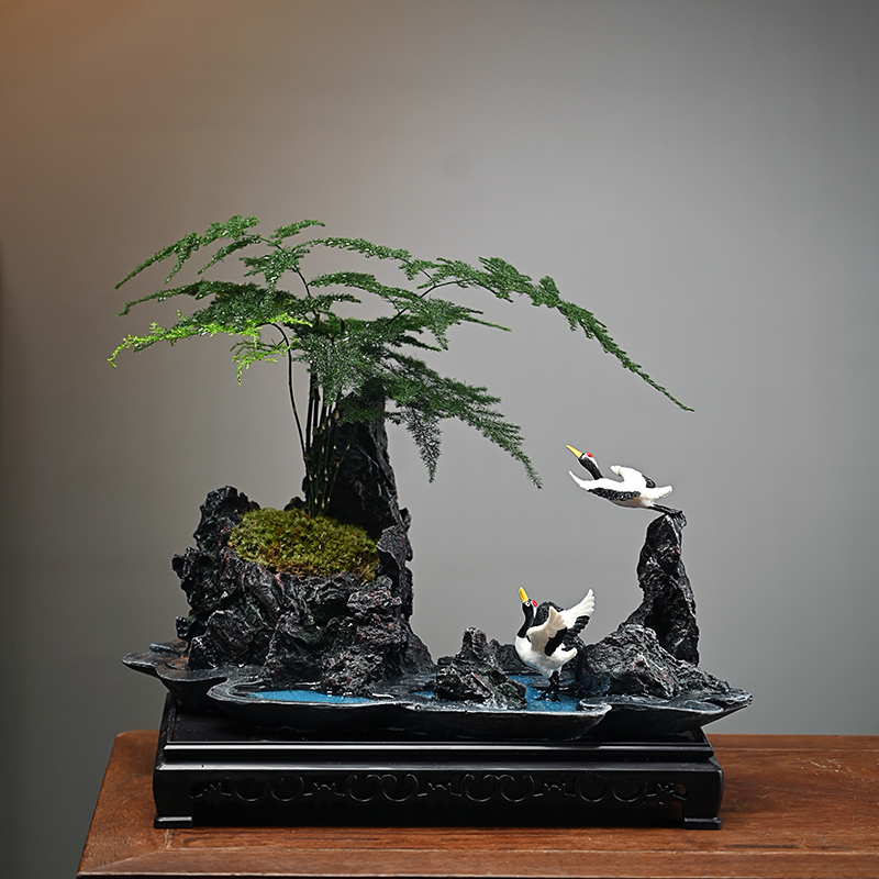 文竹六月雪盆景植物办公室内四y季常青微景观绿植好养桌面摆件盆