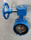 蝶阀304挡板齿轮转动碟阀8寸10寸12寸 16m铸铁涡轮对夹式 D371X