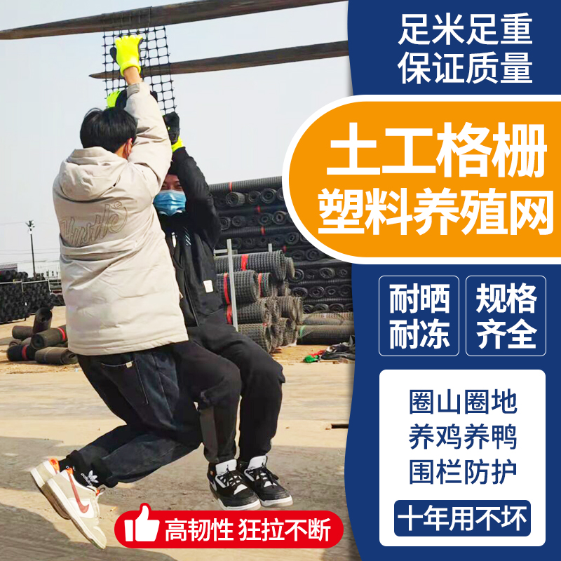 塑料网格防护养殖菜园栅栏户外拦鸡网子圈玉米胶网U室外养鸡围栏