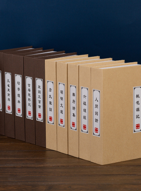 中式假书样板间书房博古架装饰品摆件影视电影模型V道具仿真书本