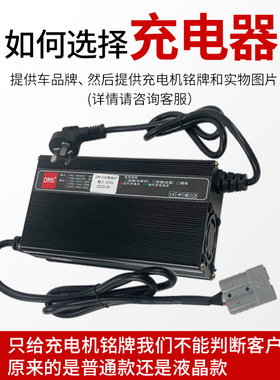 电动搬运车充电机小金刚充电器DL得龙充电器(22J0V)12V20A堆高机